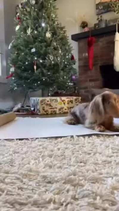 Are you ready for the holidays?