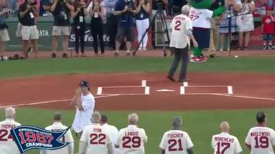 Ceremonial first pitch