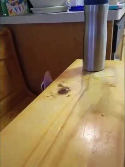 Sneak ?