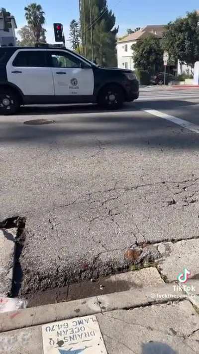 Tiny dog f**king hates the police!