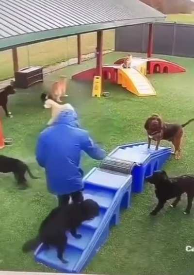 Perfect murder