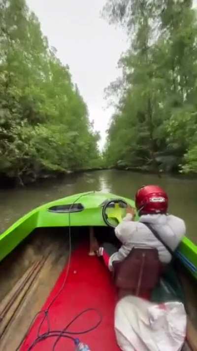 Fast and Furious: Borneo Drift