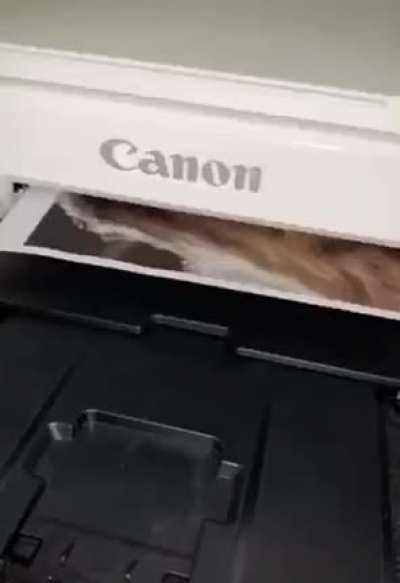 Printing an image