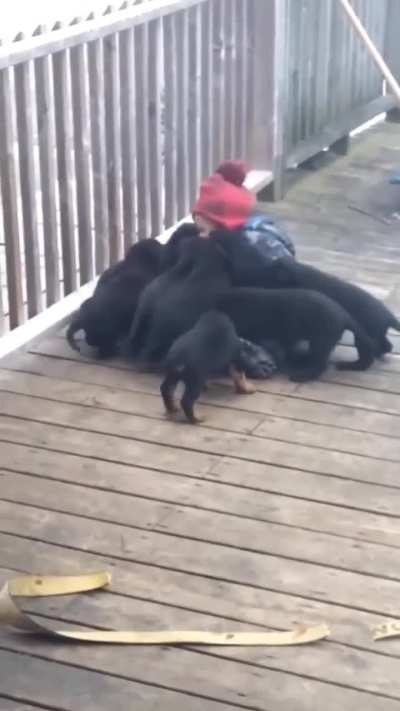 Maybe Maybe Maybe