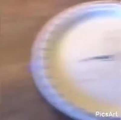 Murphy's law