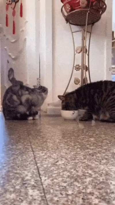 Sharing is caring