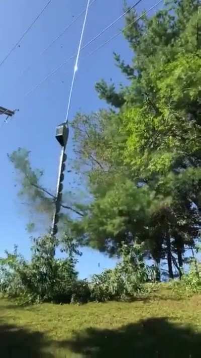 Pruning trees with the helicopter to make room for the cable car