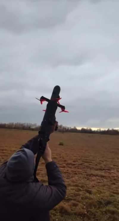 Anti-Drone Drone