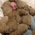 Now this is a dogpile I would love.