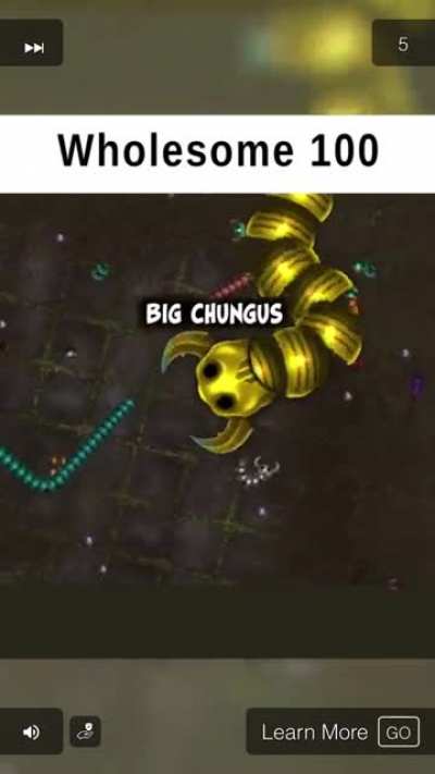What the hell is this supposed to be???