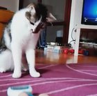 Nope, nope, nope