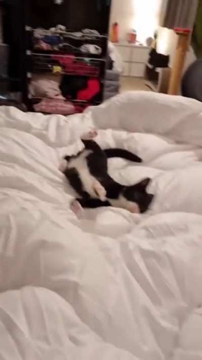 perfect salmon flop