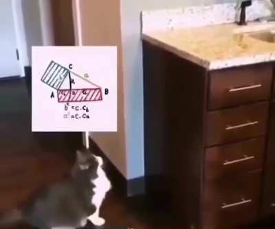 the calculation was wrong