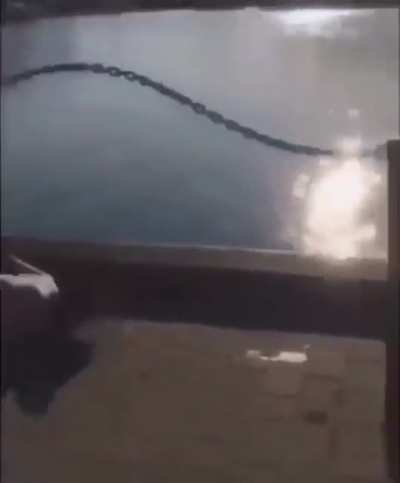 To jump into the river.