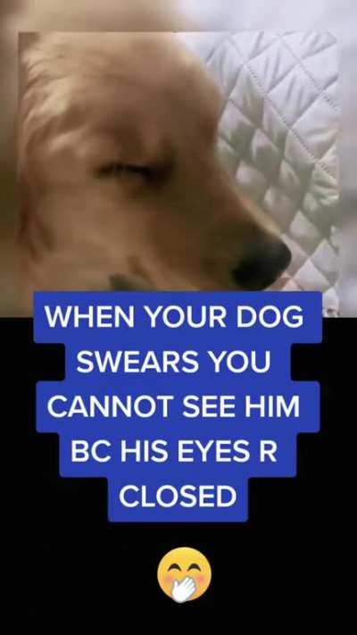 The invisible dog.