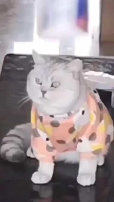 ?