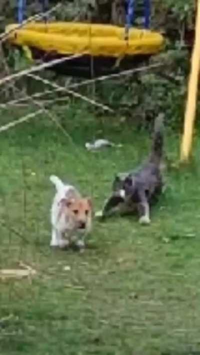 Maybe Maybe Maybe