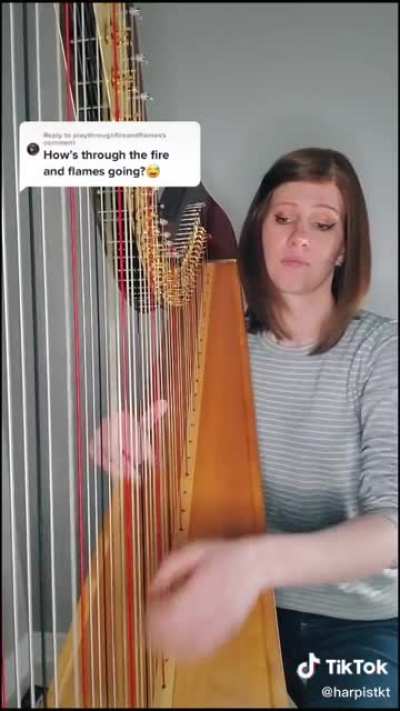 Through the Fire and Flames Sounds Pretty Amazing on a Harp