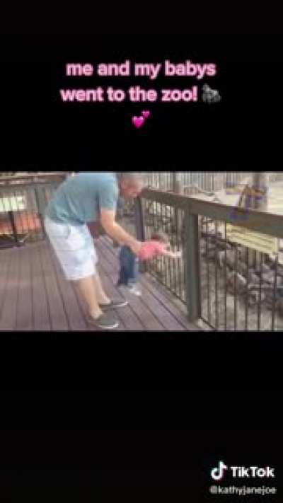 A great day at the zoo