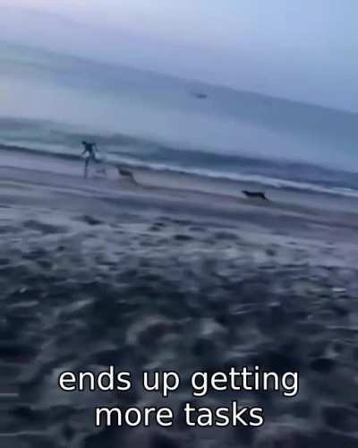 Life in a nutshell