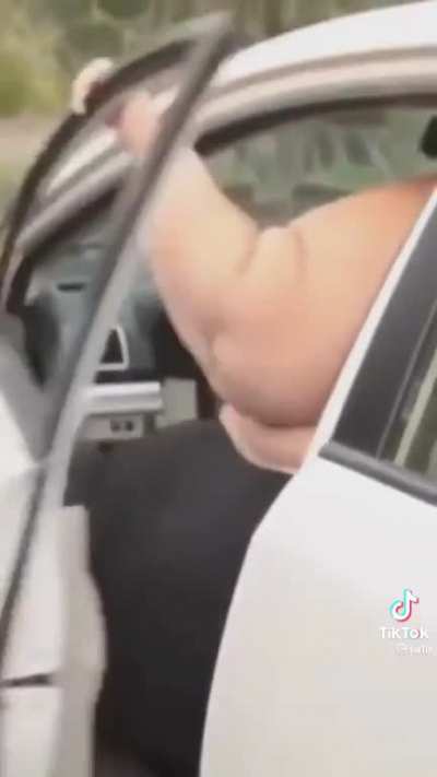 Trying to close car door