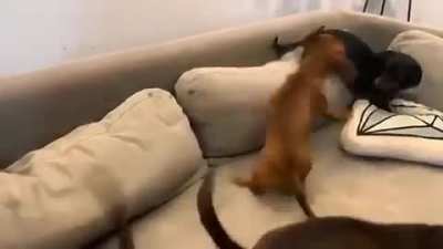Watcha doing !