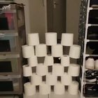 Persistence?