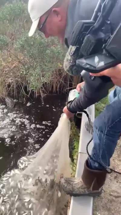 Cast net fishing