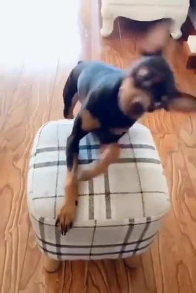 CLEAN MY EARS MOM