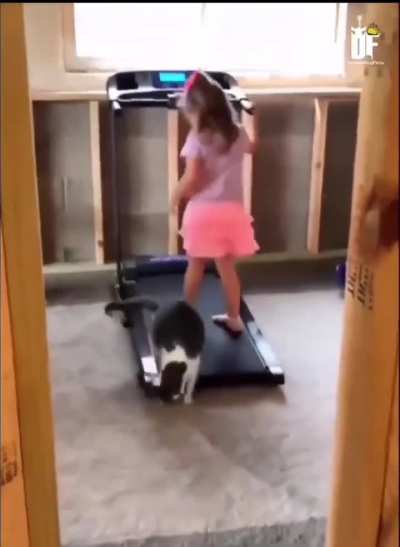 Little girl teaches cat how to use a treadmill
