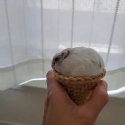 Ice cream?