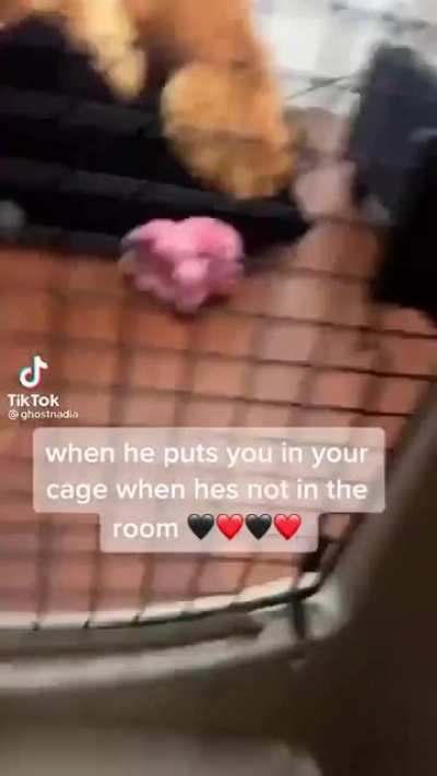I don't even know what to say