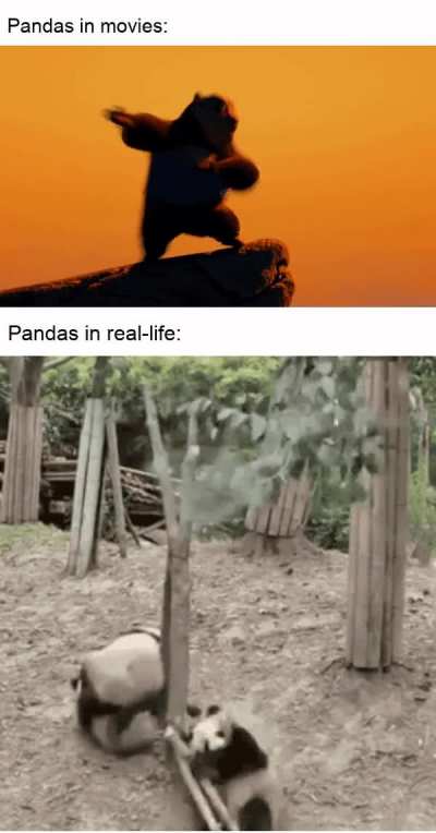 Po vs Poo