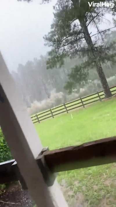 ?Lightning strikes an electric fence.
