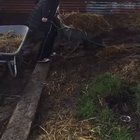 WCGW when you try to be a farmer ?