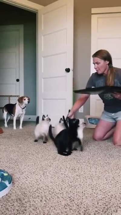 Mommy got swarmed by impatient kids