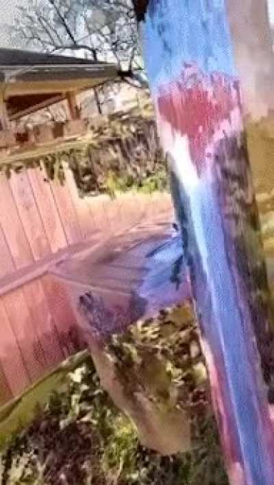 ???????