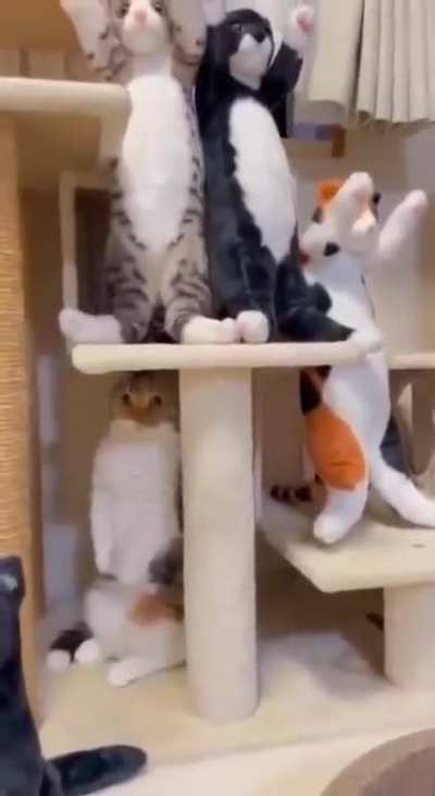 Imposter.