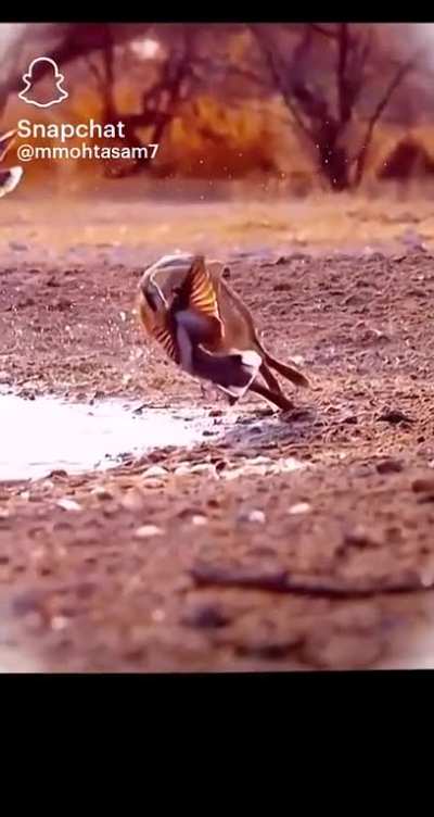 to grab a meal