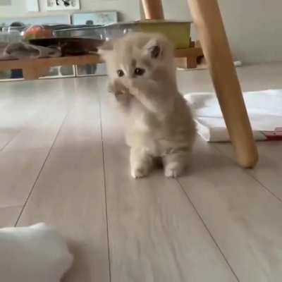 To Get That Sock...