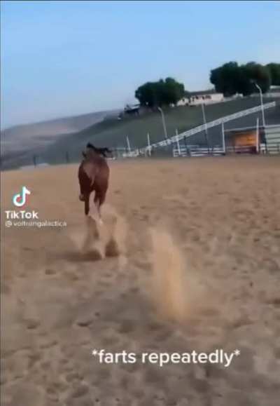I didn't know they made gas powered horses...