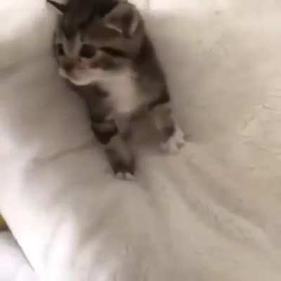 He Scream
