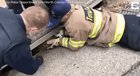 Heroic firemen releasing bambi into the wild sewers