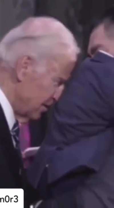 when your hands are full and you have an itch? animal greeting, maybe?