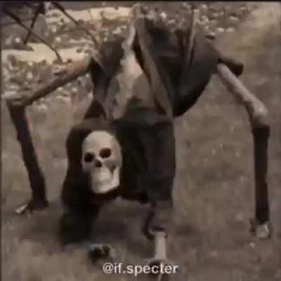 what's your skeleton mood today ?
