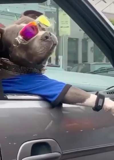 Lmao I can’t stop watching this ?
