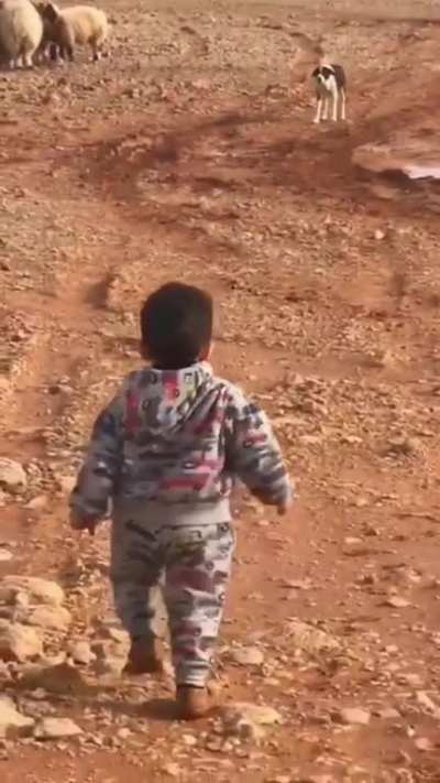 Maybe maybe maybe