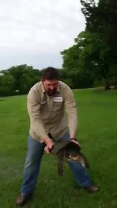 WCGW playing with a snapping turtle?