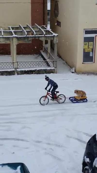 The most "aww" thing you will see today