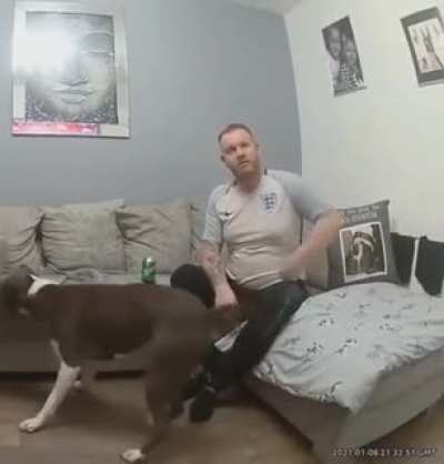 This guy thinks his dog is more than sleepy
